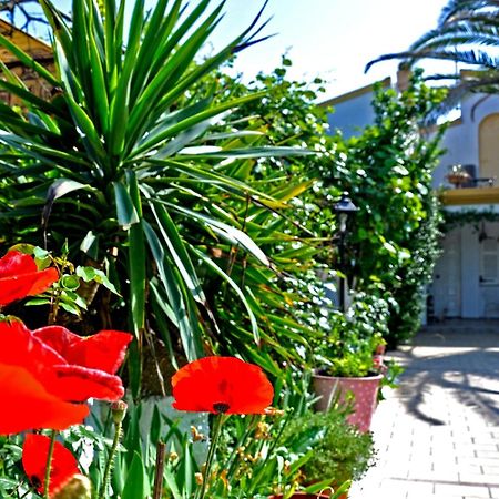 Villa Elena Studios Dassia  Exterior photo