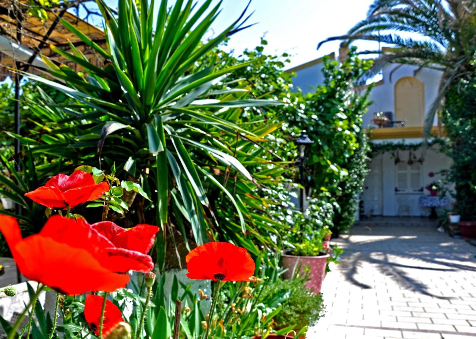 Villa Elena Studios Dassia  Exterior photo
